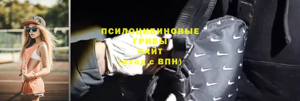 эйфоретик Алзамай