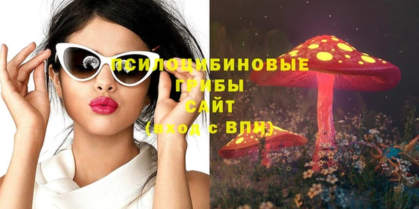 не бодяженный Алексин