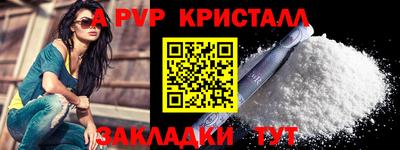 шишки Заволжье
