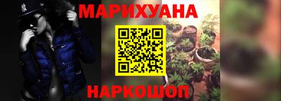 шишки Заволжье