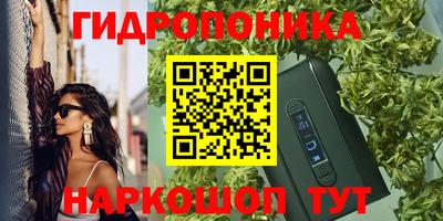 спиды Заводоуковск