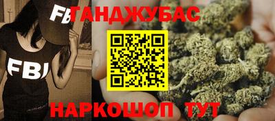шишки Заволжье
