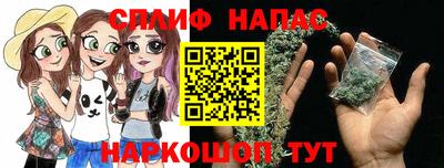 спиды Заводоуковск