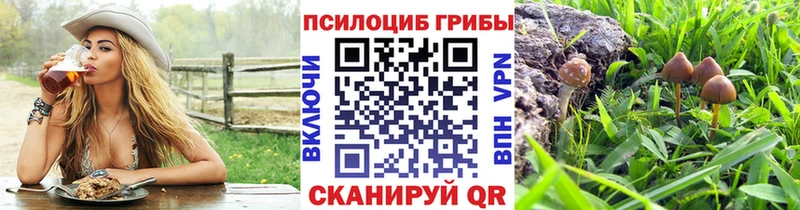 магазин наркотиков Менделеевск Псилоцибиновые грибы мухоморы