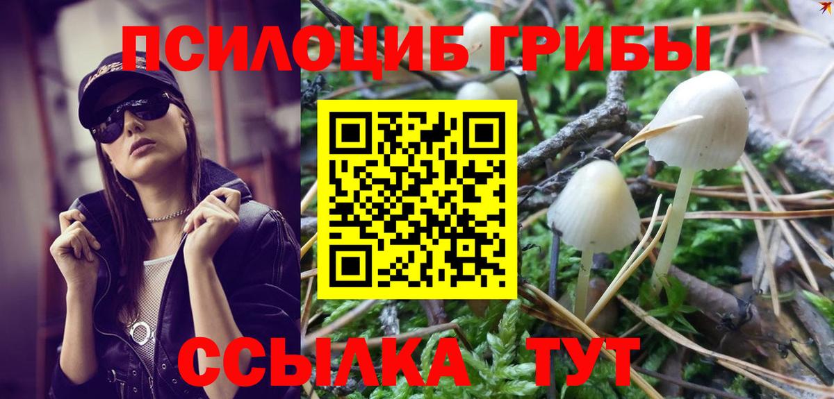 как найти наркотики  Вход с VPN  Менделеевск  Псилоцибиновые грибы прущие грибы 